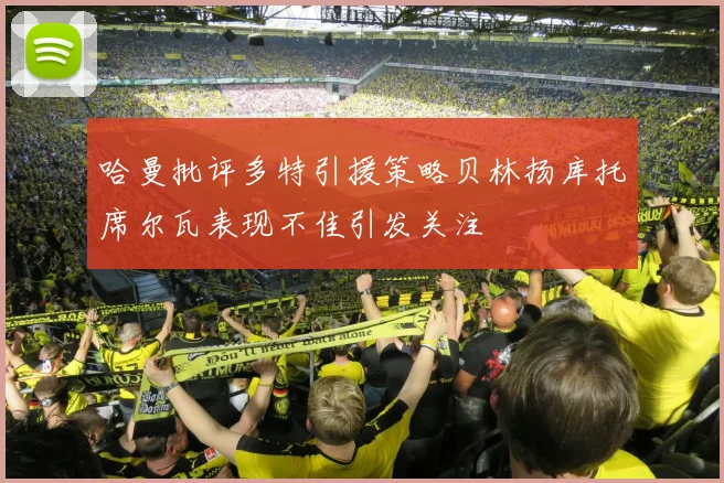 哈曼批评多特引援策略贝林扬库托席尔瓦表现不佳引发关注