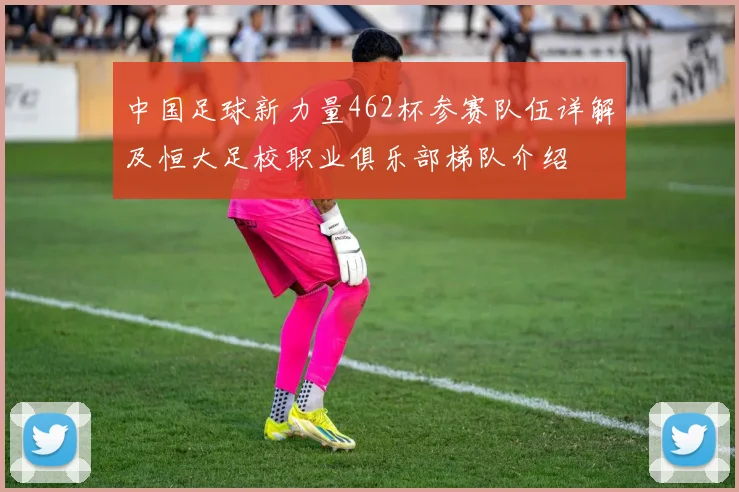 中国足球新力量462杯参赛队伍详解及恒大足校职业俱乐部梯队介绍