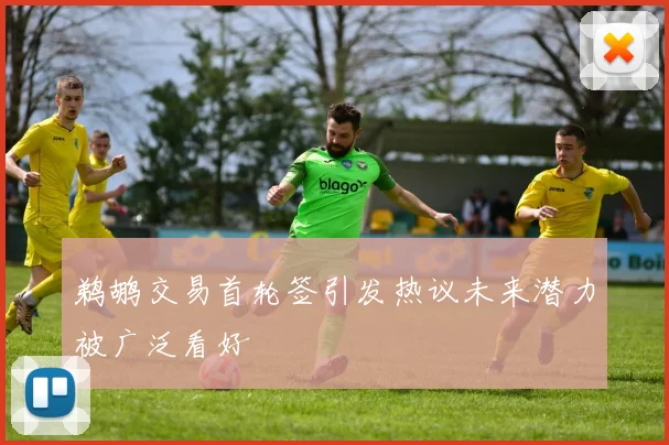 鹈鹕交易首轮签引发热议未来潜力被广泛看好