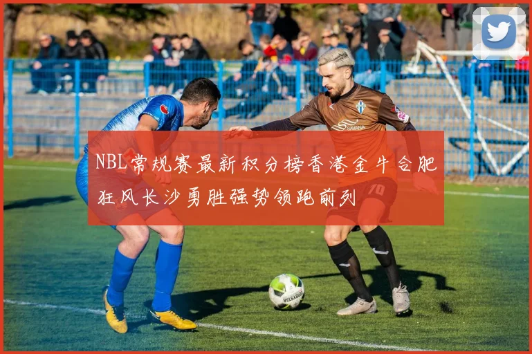 NBL常规赛最新积分榜香港金牛合肥狂风长沙勇胜强势领跑前列